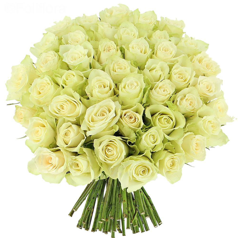 BOUQUET DE ROSES BLANCHES - "JOY"